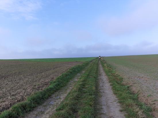20220106_125006.jpg
